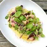 CRU GRILLED SQUID with gigante beans, wild watercress & red onion vinaigrette