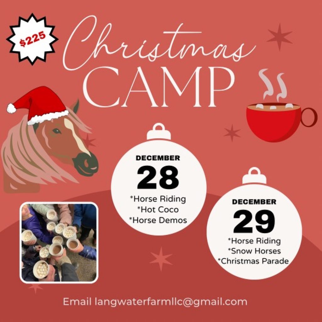 Langwater Farm Riding Camp